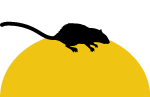 MÄUSE