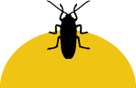 SCHABEN